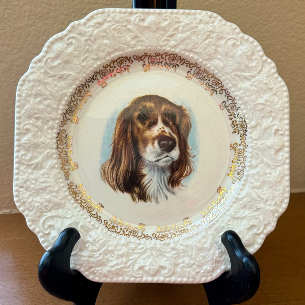 Lord Nelson English Pottery - Springer Spaniel Portrait Plate - Vintage